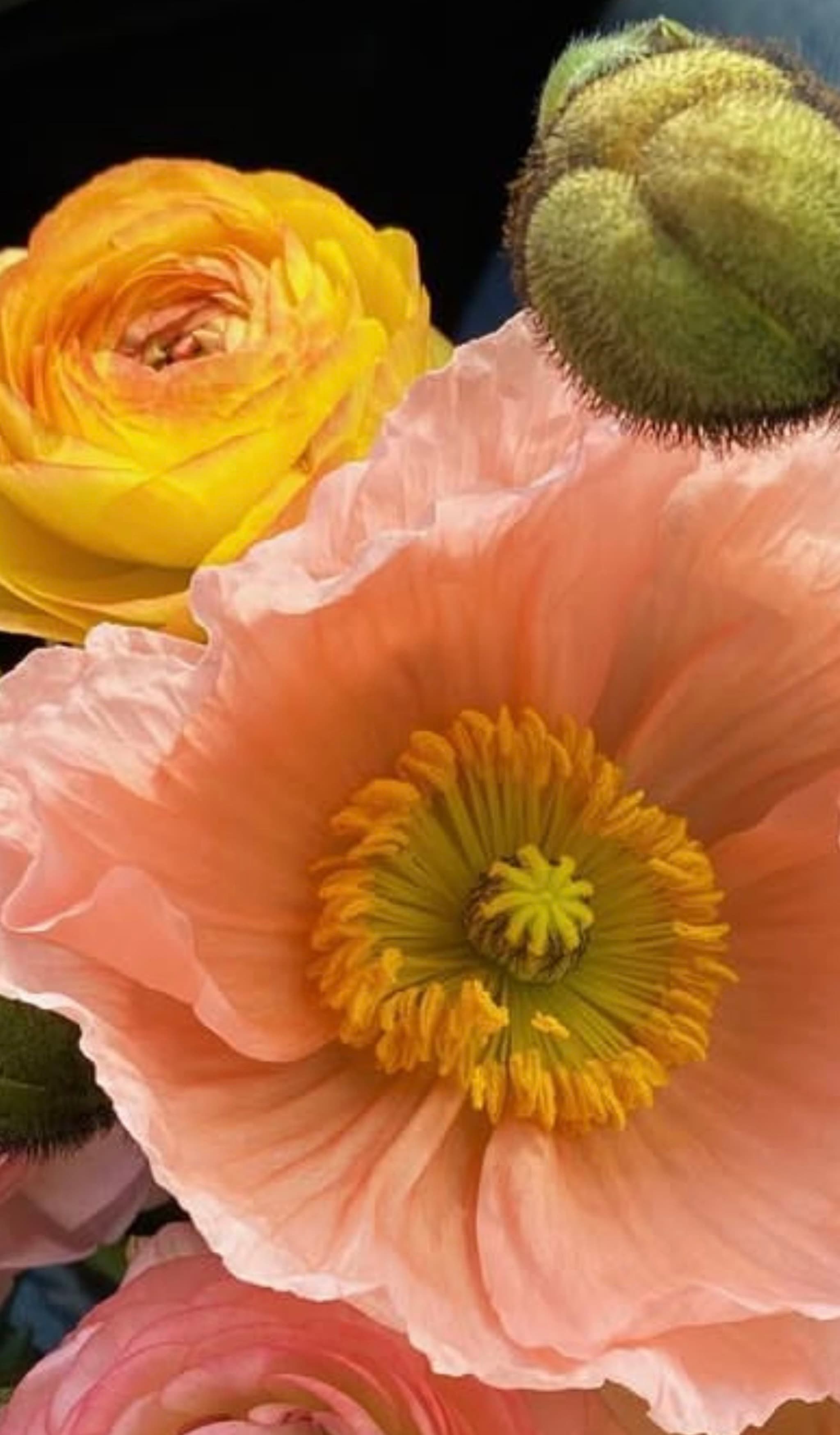 The Botanarchist